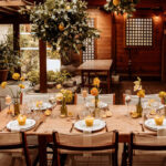 8428eb6d 421b 4e06 af06 d7727c3fe2a2 1 105 c